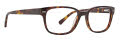 Life is Good Drew Tortoise (TOR) Eyeglasses - Color Image