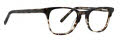 Life is Good Debra Tortoise Eyeglasses - Color Image