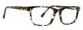 Life is Good Lyle Tortoise Eyeglasses - Color Image
