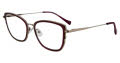 Lucky Brand D116 Purple Eyeglasses - Color Image