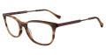 Lucky Brand D221 Brown Horn Eyeglasses - Color Image