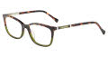 Lucky Brand D225 Green Tortoise Eyeglasses - Color Image