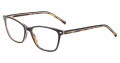 Lucky Brand D227 Black Tortoise Eyeglasses - Color Image