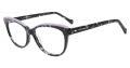Lucky Brand VLBD239 Black Havana Eyeglasses - Color Image
