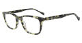Lucky Brand VLBD425 Olive Havana Eyeglasses - Color Image