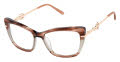Lulu Guinness L251 Brown (BRN) Eyeglasses - Color Image