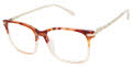 Lulu Guinness L228 Amber (AMB) Eyeglasses - Color Image