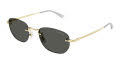 Mont Blanc MB0303S Gold - Size 53 (001) Sunglasses - Color Image