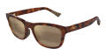 Maui Jim Kapii Shiny Dark Havana / HCL Bronze (H617-10) Sunglasses - Color Image