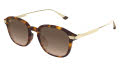 Maui Jim Kaouo AF Shiny Dark Havana w/Gold / HCL Bronze (HS625-10) Sunglasses - Color Image