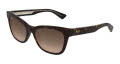 Maui Jim Hiwahiwa Shiny Dark Havana/HCL Bronze (HS689-10) Sunglasses - Color Image