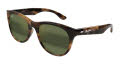 Maui Jim Koaniani AF Shiny Melange Brown Havana / Maui HT (HT694-10A) Sunglasses - Color Image
