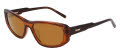 DKNY DK553S LAYERED BROWN (200)  Sunglasses - Color Image