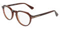 Marchon M-8519 Dark Brown Horn (207) Eyeglasses - Color Image