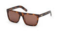 Adidas OR0140 Dark Havana (52E) Sunglasses - Color Image