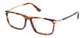 BMW BW5086-H Havana / Shiny Pale Gold (052) Eyeglasses - Color Image