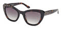 Guess GM00016 Dark Havana (52P) Sunglasses - Color Image