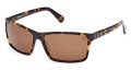 Timberland TB00032 Dark Havana (52H) Sunglasses - Color Image