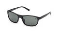 Timberland TB00057-H Shiny Black (01R) Sunglasses - Color Image