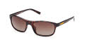 Timberland TB00057-H Dark Havana (52H)  Sunglasses - Color Image