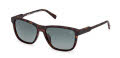 Timberland TB00052 Dark Havana (52D) Sunglasses - Color Image
