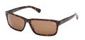 Timberland TB00053 Dark Havana (52H) Sunglasses - Color Image