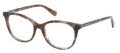 Kenneth Cole RN50050 Shiny Light Brown (047) Eyeglasses - Color Image