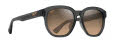 Maui Jim Akahai AF Shiny Trans Dark Grey/HCL Bronze (HS646-14) Sunglasses - Color Image