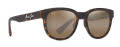 Maui Jim Maoli Matte Dark Havana (H668-10) Sunglasses - Color Image