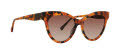 Trina Turk Provence Tortoise Sunglasses - Color Image
