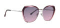 Trina Turk Savaii Purple Sunglasses - Color Image
