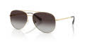 Michael Kors MK1172 Light Gold/Grey Gradient (10148G) Sunglasses - Color Image