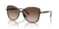 Michael Kors MK2181U Dark Tortoise/Brown Gradient (300613) Sunglasses - Color Image
