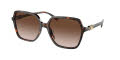 Michael Kors MK2196U Dark-Tortoise / Brown-Gradient (300613) Sunglasses - Color Image