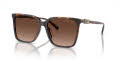 Michael Kors MK2197U Dark Tortoise/Brown Gradient Polar (3006T5) Sunglasses - Color Image