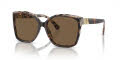 Michael Kors MK2201 Dark Tortoise/Cream Tortoise/Brown Solid (395173) Sunglasses - Color Image