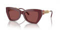 Michael Kors MK2205 Dark Red Transparent/Cordovan (394975) Sunglasses - Color Image