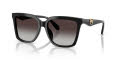 Michael Kors MK2256U Black/Light Grey Gradient (30058G) Sunglasses - Color Image