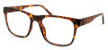 ECO Asher Tortoise Eyeglasses - Color Image