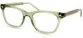 ECO Wren Light Green Eyeglasses - Color Image