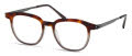 Modo 4542 Tortoise to Grey Eyeglasses - Color Image
