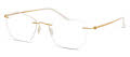 Modo 4601 Gold Eyeglasses - Color Image
