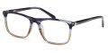 Modo 6536 Blue Brown Gradient Eyeglasses - Color Image