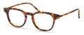 Modo Franklin Tortoise Eyeglasses - Color Image