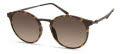 Modo 701 Brown Tortoise Sunglasses - Color Image