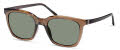 Modo 705 Brown Sunglasses - Color Image