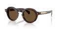 Moncler ME6012 Shiny Dark Havana/Solid Brown (300273) Sunglasses - Color Image