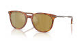 Moncler ME6013 Shiny Brown Tortoise/Mirror Olive (300475) Sunglasses - Color Image