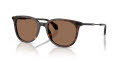 Moncler ME6013 Shiny Havana/Solid Brown (300273) Sunglasses - Color Image