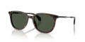 Moncler ME6013 Shiny Havana/Polar Solid Green (30029A) Sunglasses - Color Image